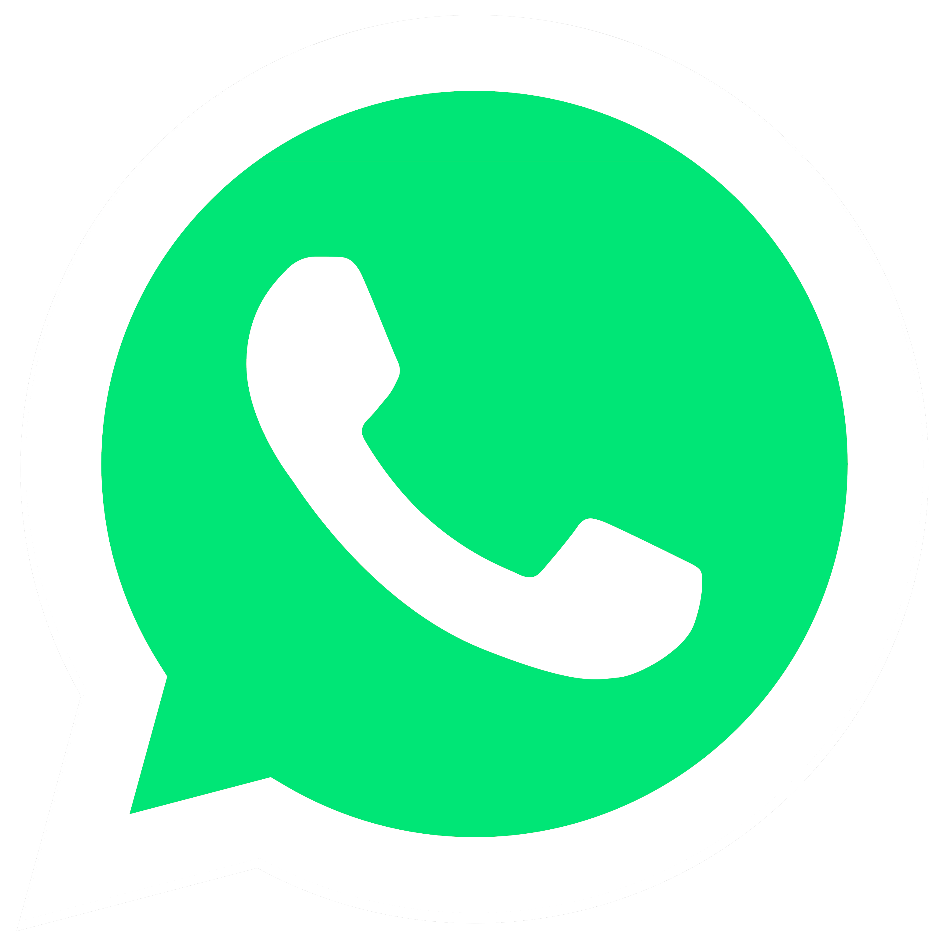 Logo de WhatsApp Business