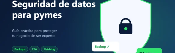 Seguridad de datos para pymes: guía práctica